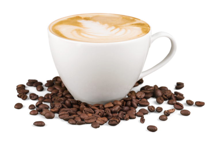 capuccinos en louna bonsai cafeteria