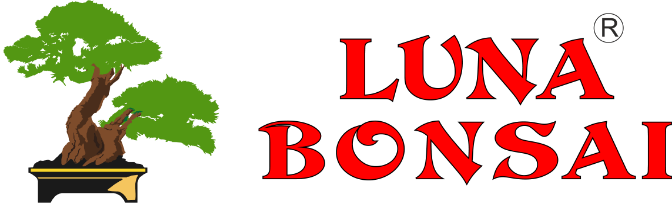 LUNA BONSAI LOGO, arbol de bonsai